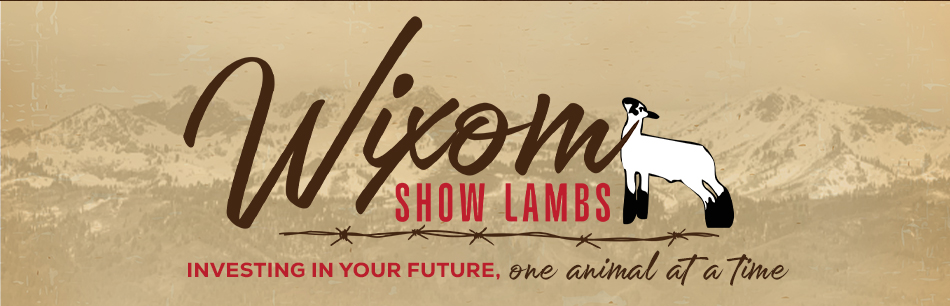 Wixom Show Lambs